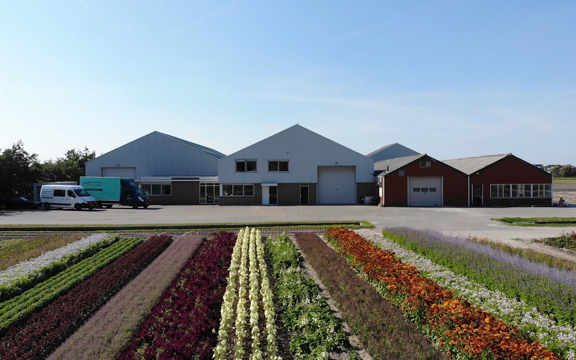 Egyptische maat ondersteboven Bouwmeester Vaste Planten kwekerij, groothandel en verpakkingen. – B2B  company in South Holland, reviews, prices – Nicelocal